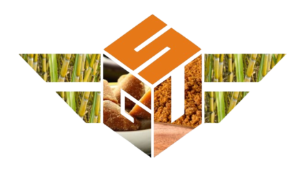 Elevate%20Your%20Skills